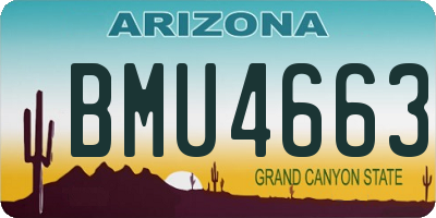 AZ license plate BMU4663