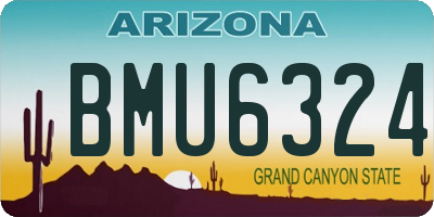 AZ license plate BMU6324