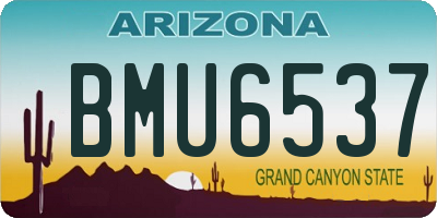 AZ license plate BMU6537