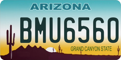 AZ license plate BMU6560