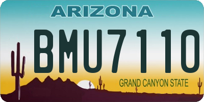 AZ license plate BMU7110