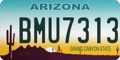 AZ license plate BMU7313