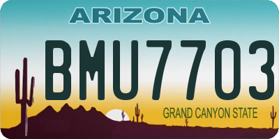 AZ license plate BMU7703