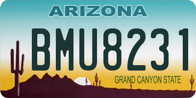 AZ license plate BMU8231