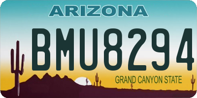 AZ license plate BMU8294