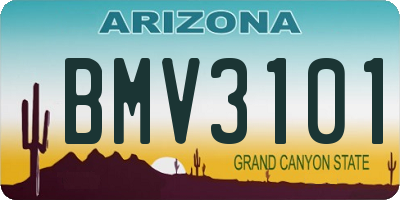 AZ license plate BMV3101