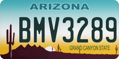 AZ license plate BMV3289