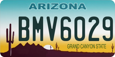 AZ license plate BMV6029