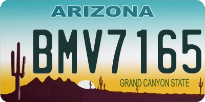 AZ license plate BMV7165