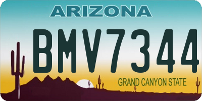 AZ license plate BMV7344
