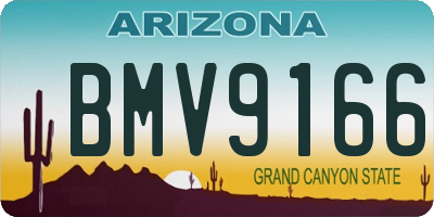 AZ license plate BMV9166