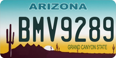 AZ license plate BMV9289