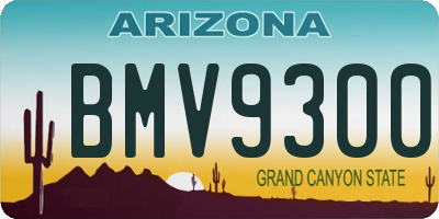 AZ license plate BMV9300