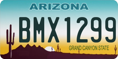 AZ license plate BMX1299