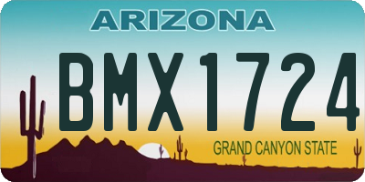 AZ license plate BMX1724