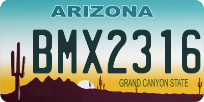 AZ license plate BMX2316