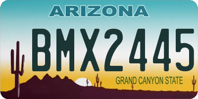 AZ license plate BMX2445