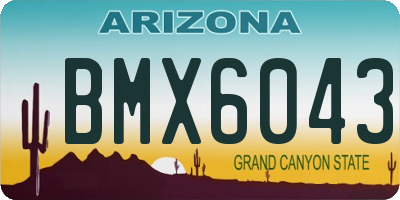 AZ license plate BMX6043