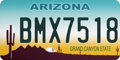 AZ license plate BMX7518