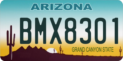 AZ license plate BMX8301