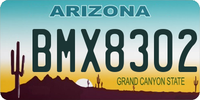 AZ license plate BMX8302