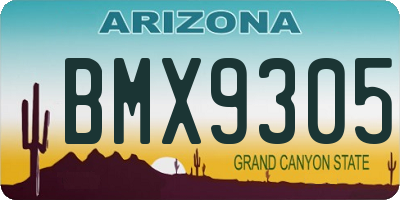 AZ license plate BMX9305