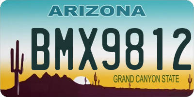 AZ license plate BMX9812