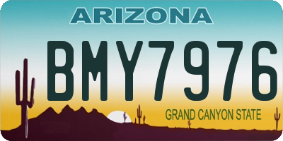 AZ license plate BMY7976