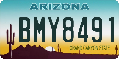 AZ license plate BMY8491