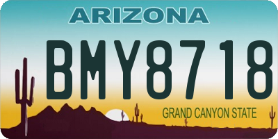 AZ license plate BMY8718