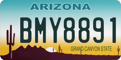 AZ license plate BMY8891
