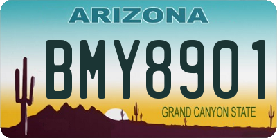 AZ license plate BMY8901