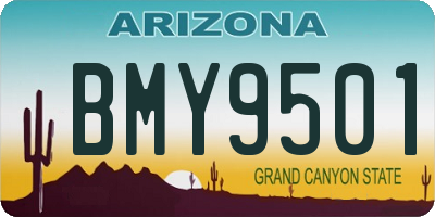 AZ license plate BMY9501