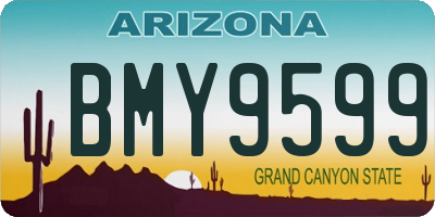 AZ license plate BMY9599