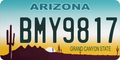 AZ license plate BMY9817