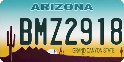 AZ license plate BMZ2918