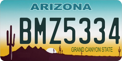 AZ license plate BMZ5334