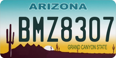 AZ license plate BMZ8307