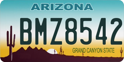 AZ license plate BMZ8542