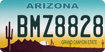 AZ license plate BMZ8828