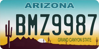 AZ license plate BMZ9987