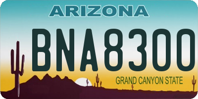 AZ license plate BNA8300