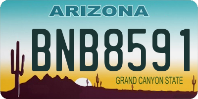 AZ license plate BNB8591
