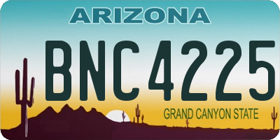 AZ license plate BNC4225