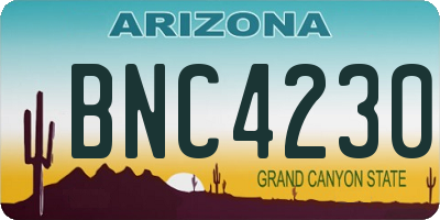 AZ license plate BNC4230