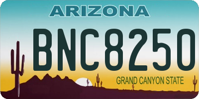 AZ license plate BNC8250