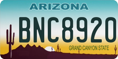 AZ license plate BNC8920