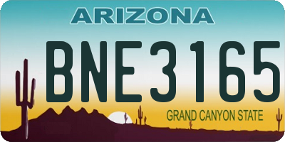 AZ license plate BNE3165