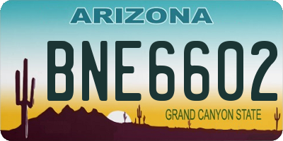 AZ license plate BNE6602