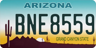 AZ license plate BNE8559